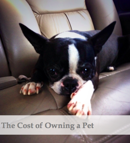 cost of owning a pet